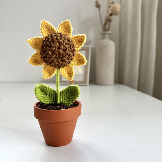 Turnesol en macramé dans un pot